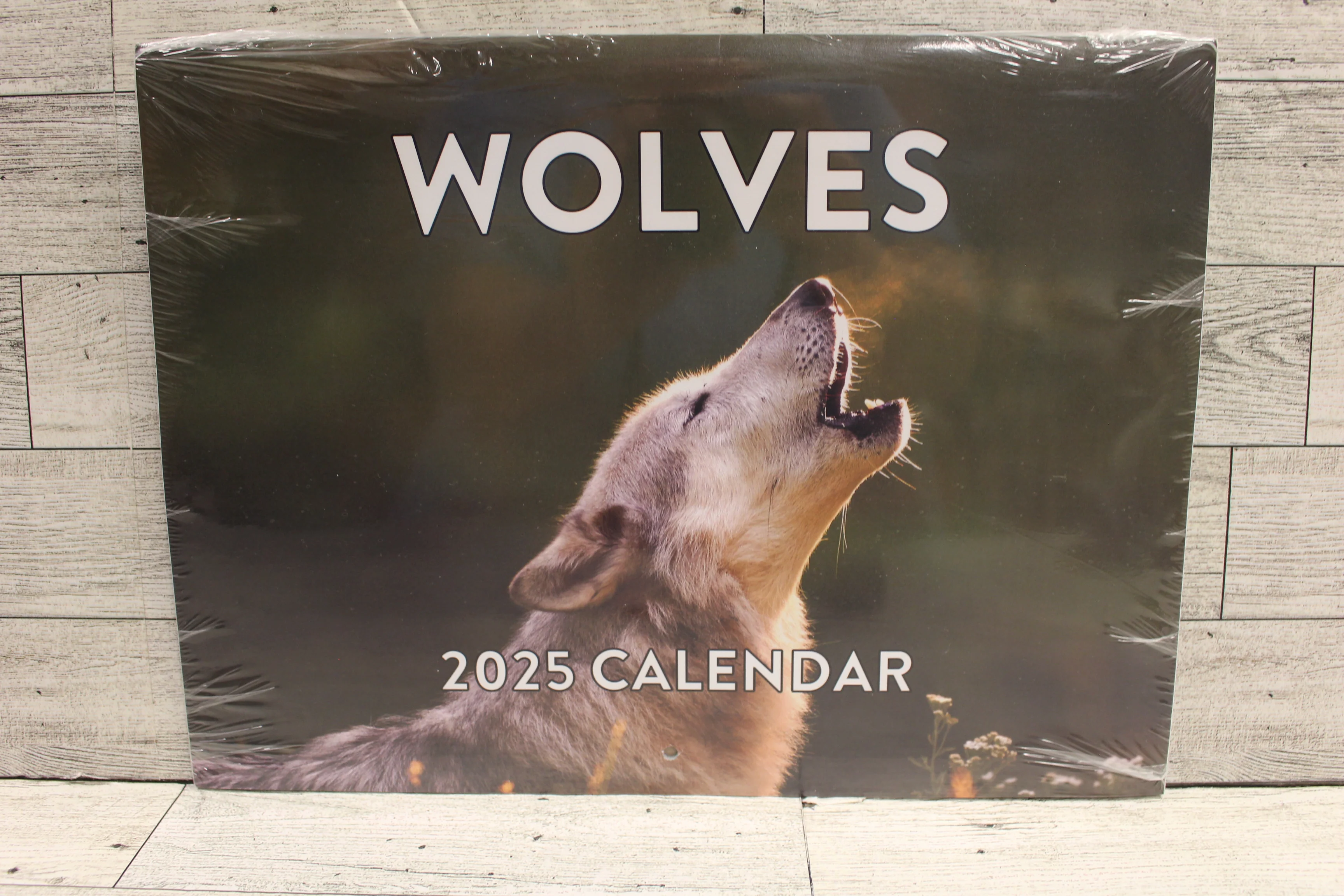 2025 Wolves Calendar - 9" x 12" - New