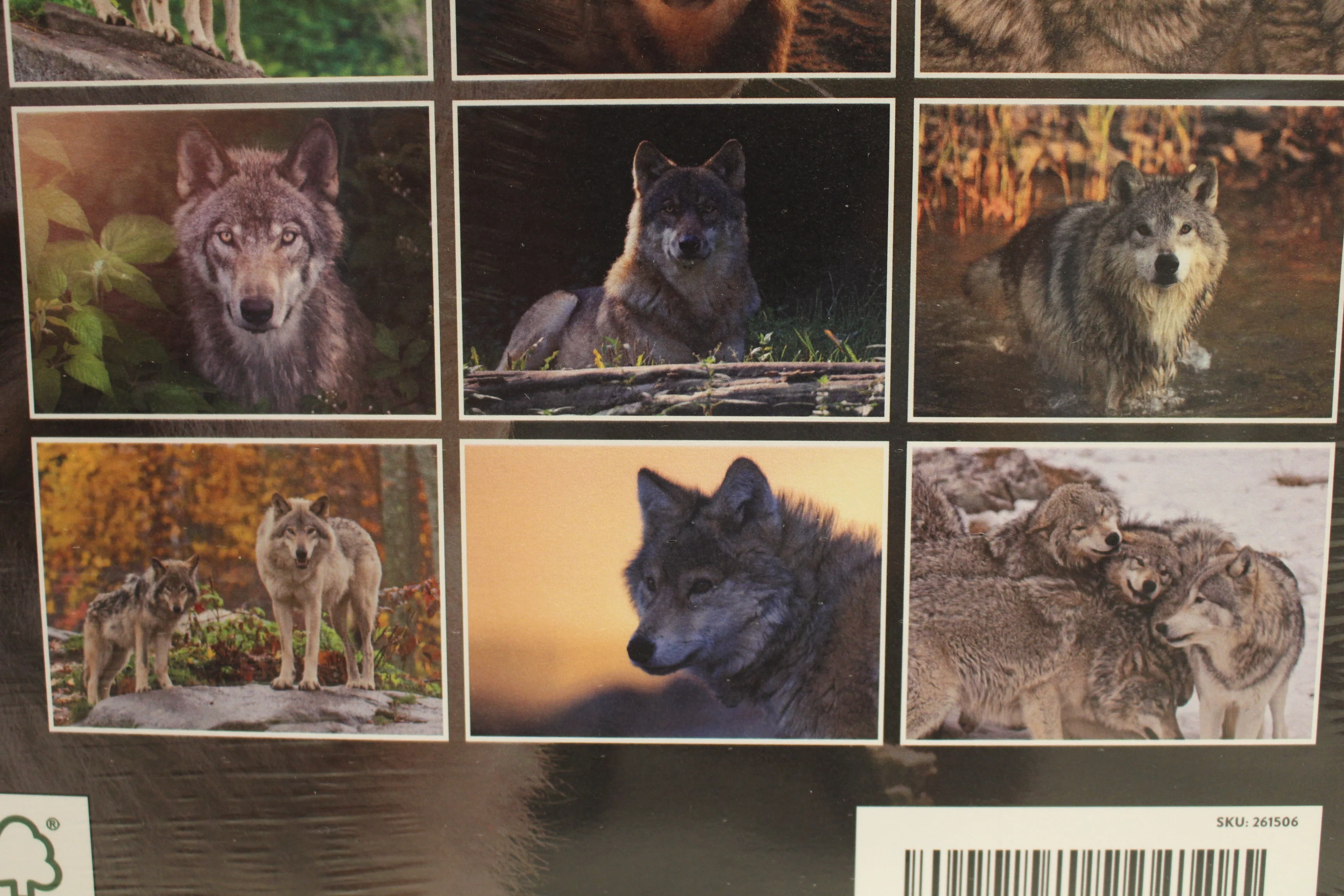2025 Wolves Calendar - 9" x 12" - New - Image 3