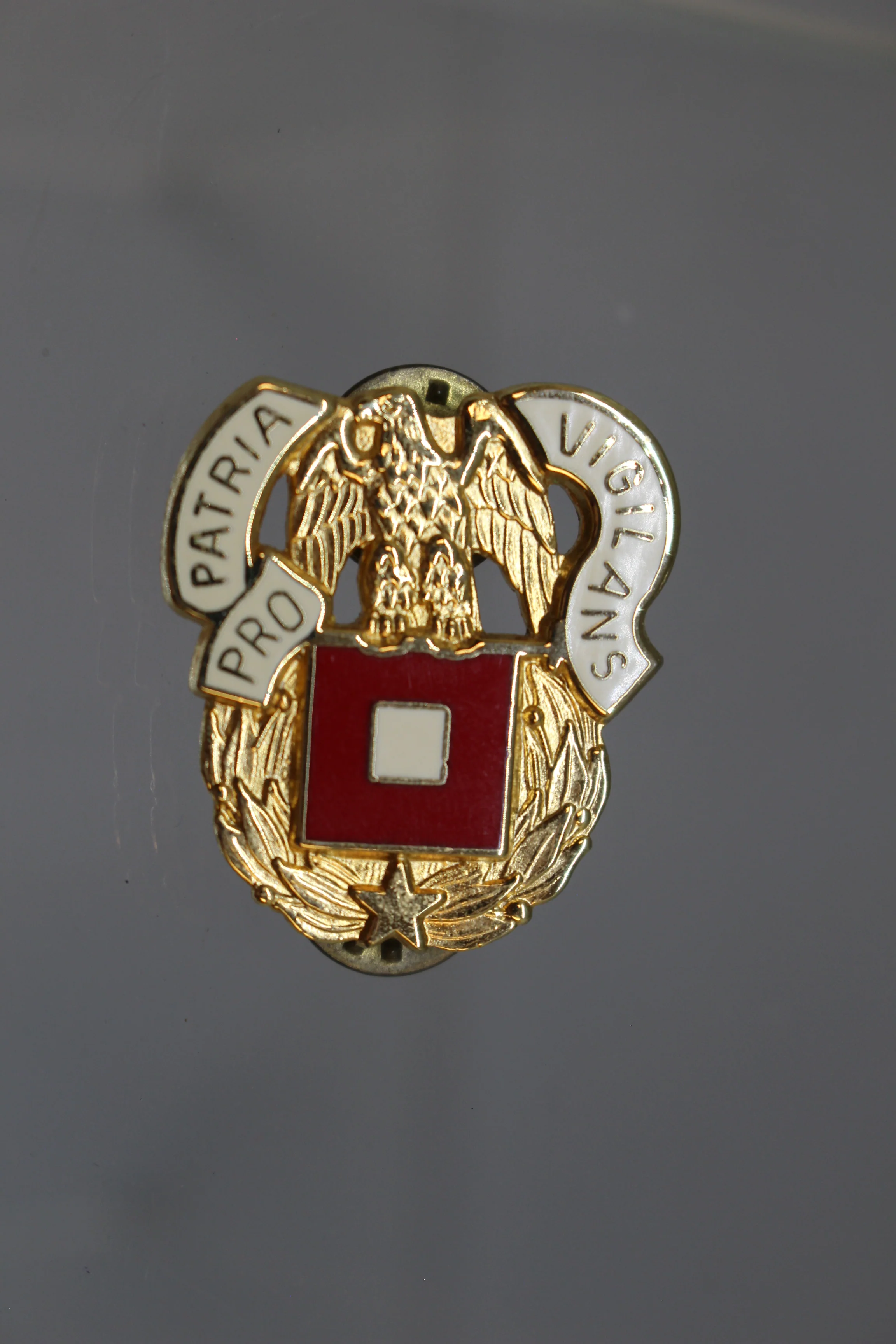 Army Pro Patria Vigilans Pin - Used