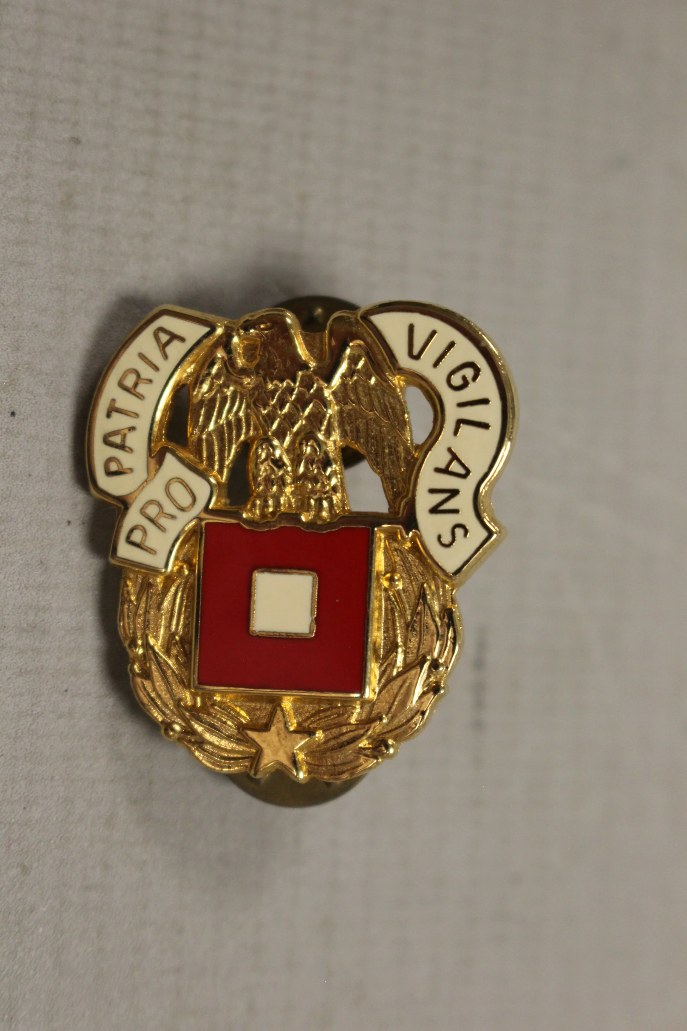 Army Pro Patria Vigilans Pin - Used - Image 4