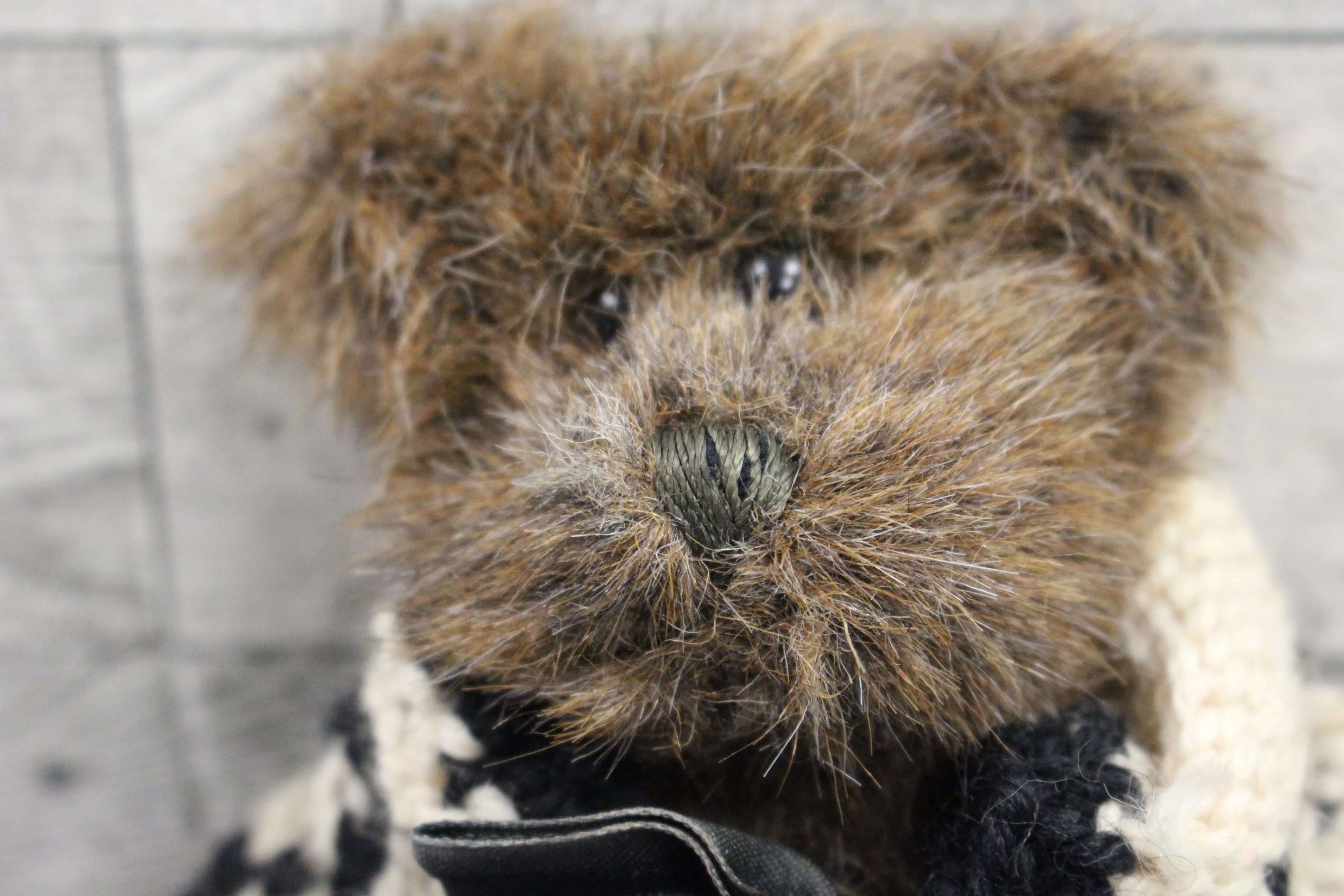 Boyds Bear Archibald McBearlie Plush with Tag - Used - Image 2