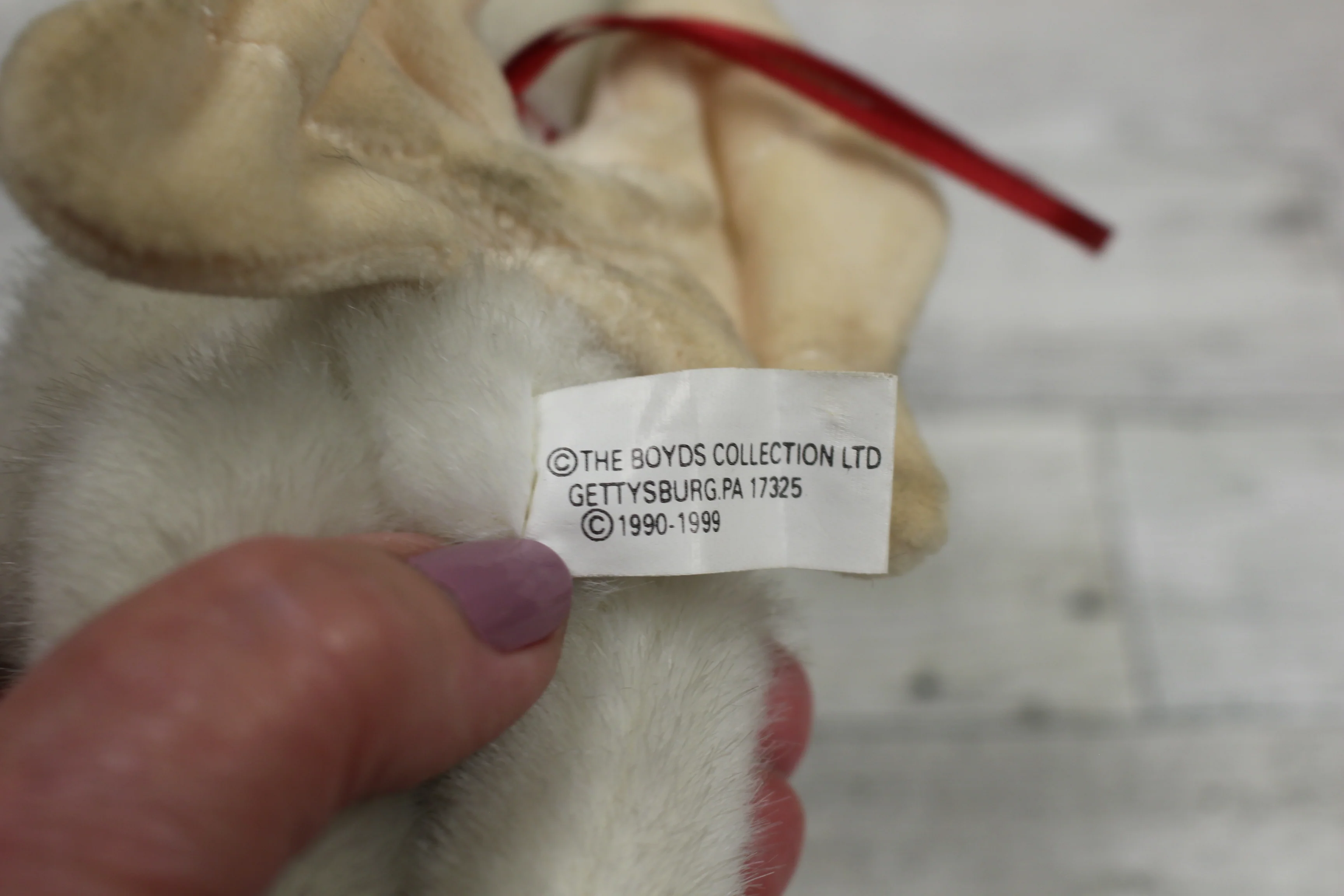 Boyds Bear "Gonna Luvya" Angel Bear - Used - Image 3