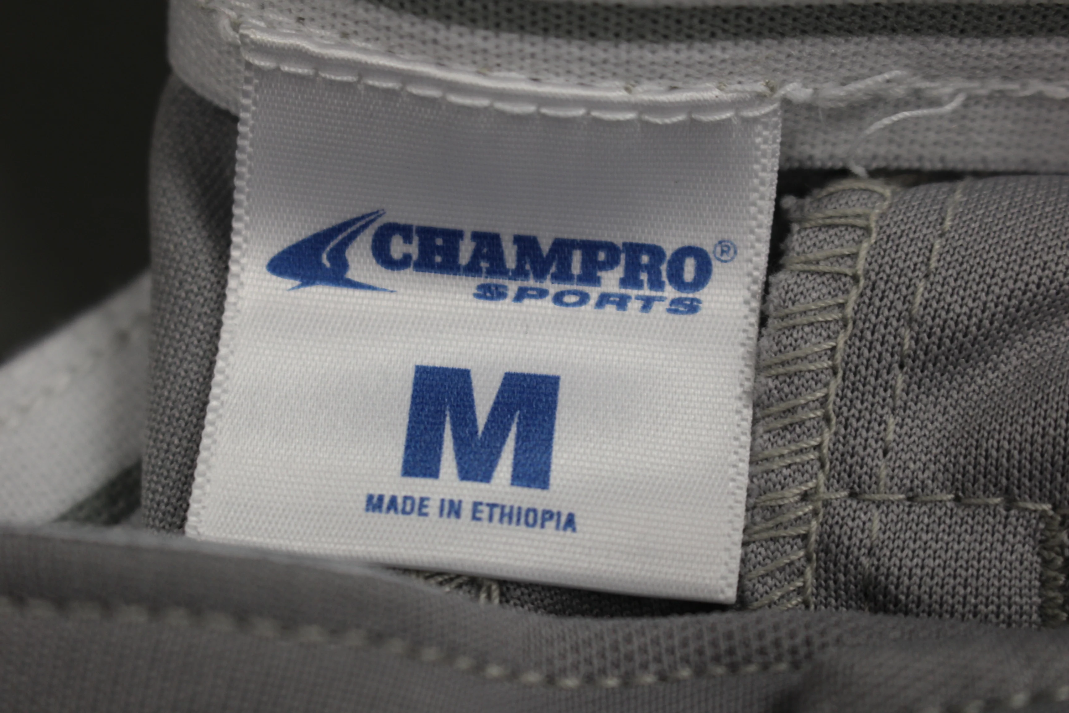 Champion Baseball Pants, Size Medium, Gray - Image 3