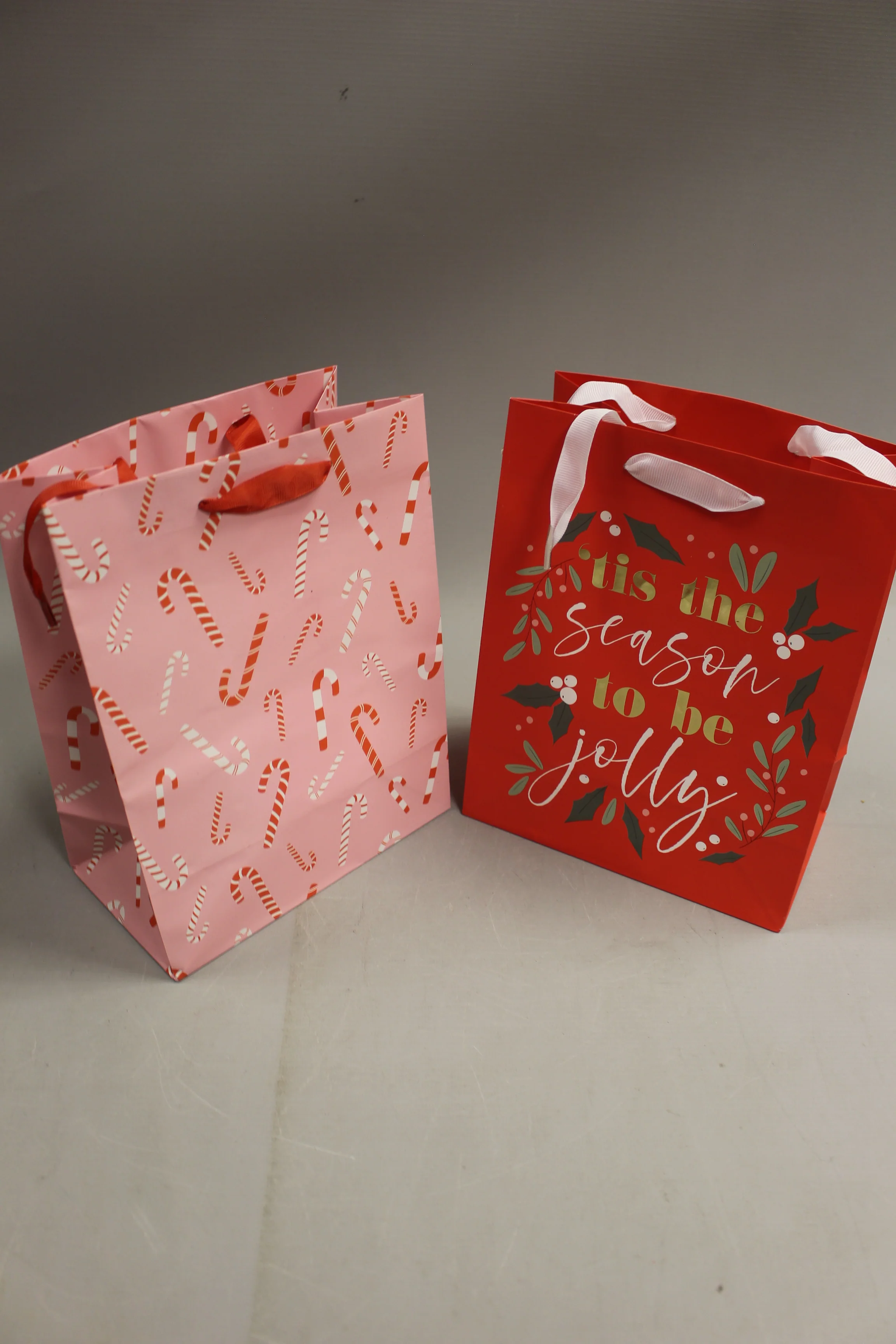DesignGroup Holiday Gift Bags Set Of 2 -New