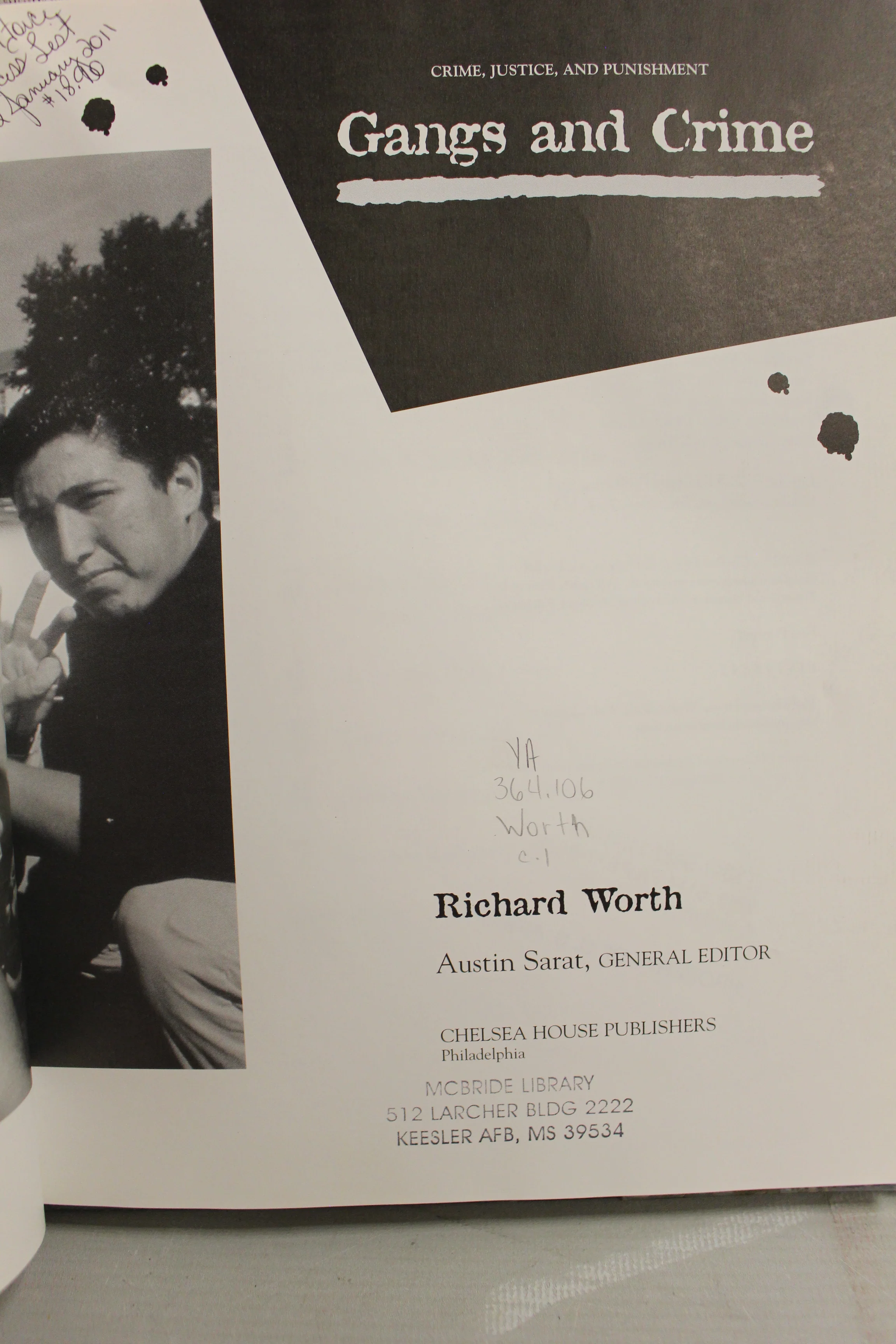 Gangs and Crime by Richard Worth - Crime, Justice, and Punishment - Image 3