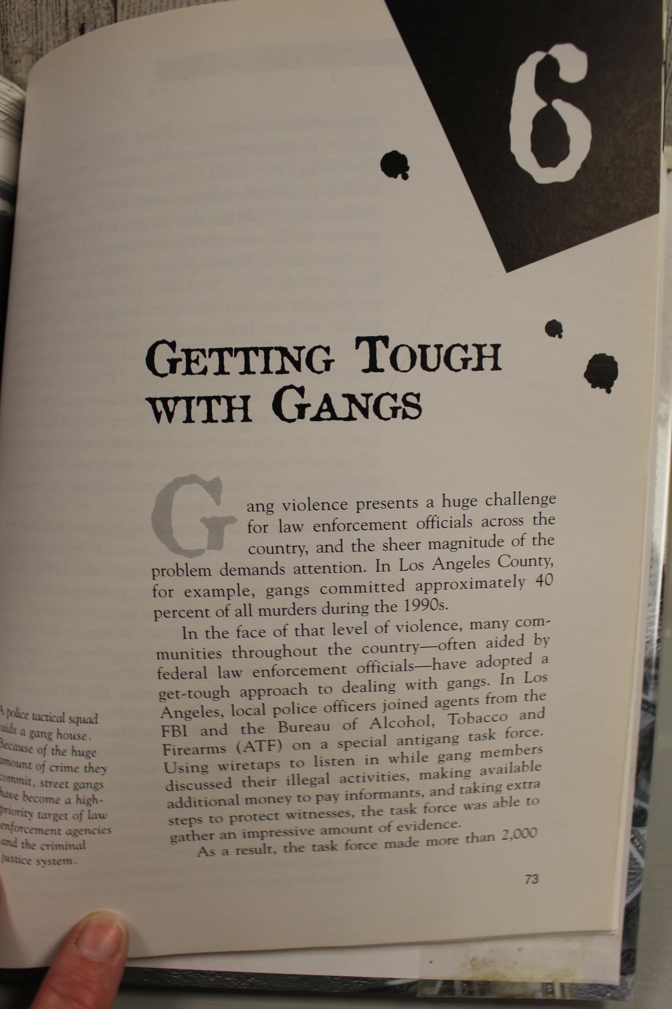 Gangs and Crime by Richard Worth - Crime, Justice, and Punishment - Image 4