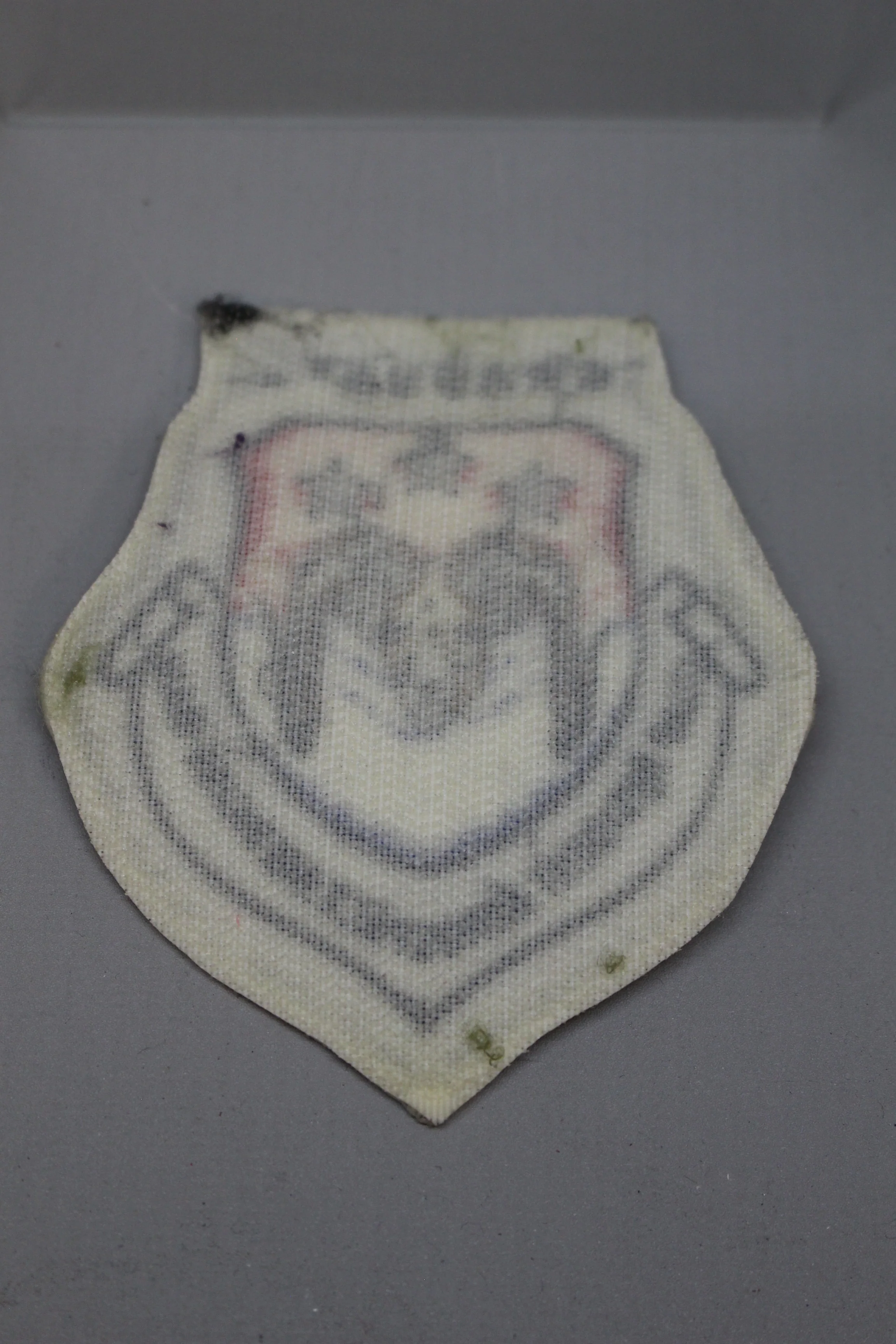 Graduate USAF Resident Aerospace Medicine-Ram Hook and Loop Patch -Used - Image 2