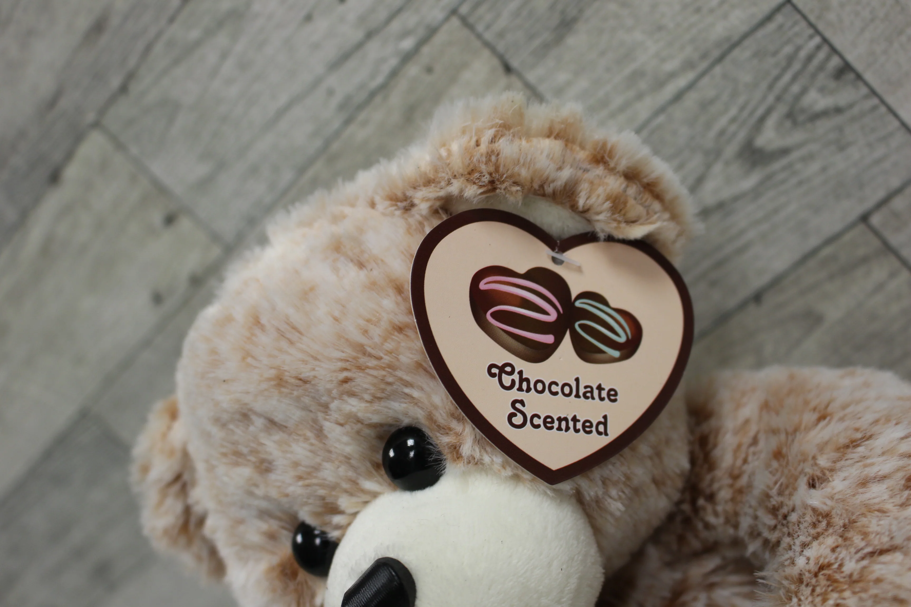 Homerbest Teddy Bear - 9" tall - New - Image 4