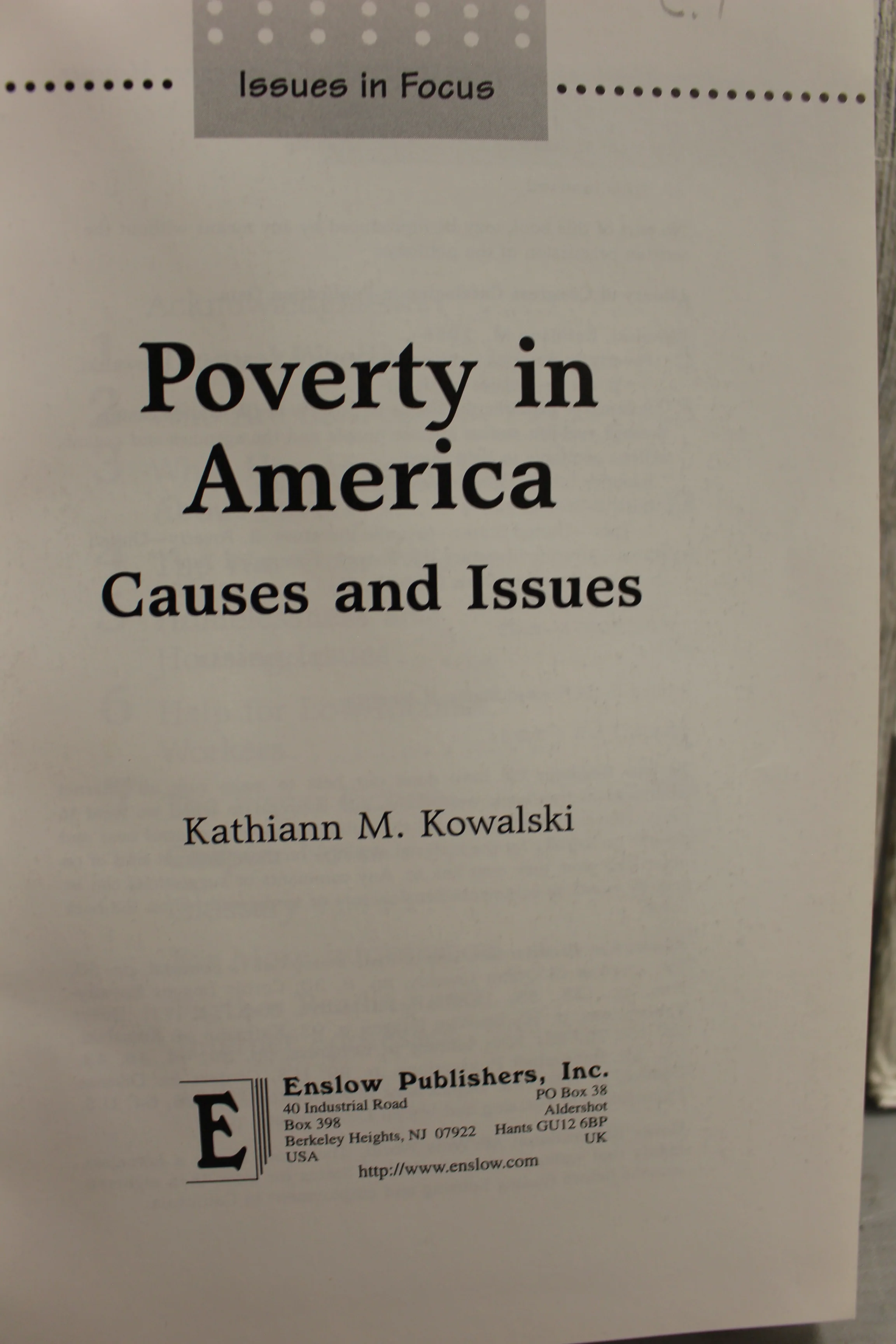 Issues in Focus Poverty in America Causes & Issues - Kathiann M. Kowalski - Image 4