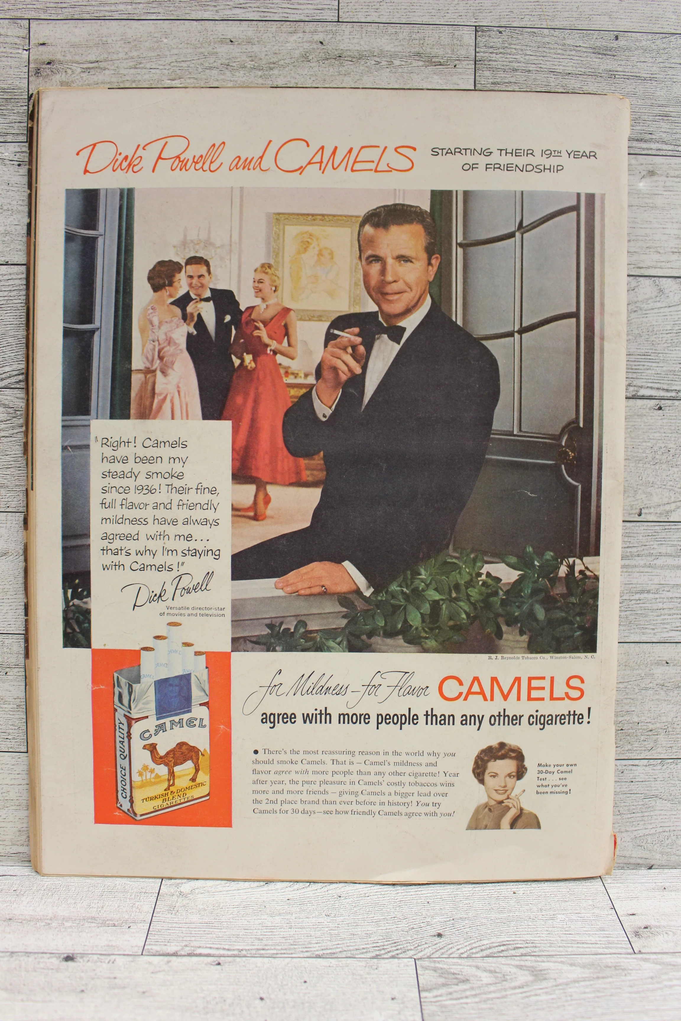 Life Magazine - April 5, 1954 - Desert - Used - Image 6
