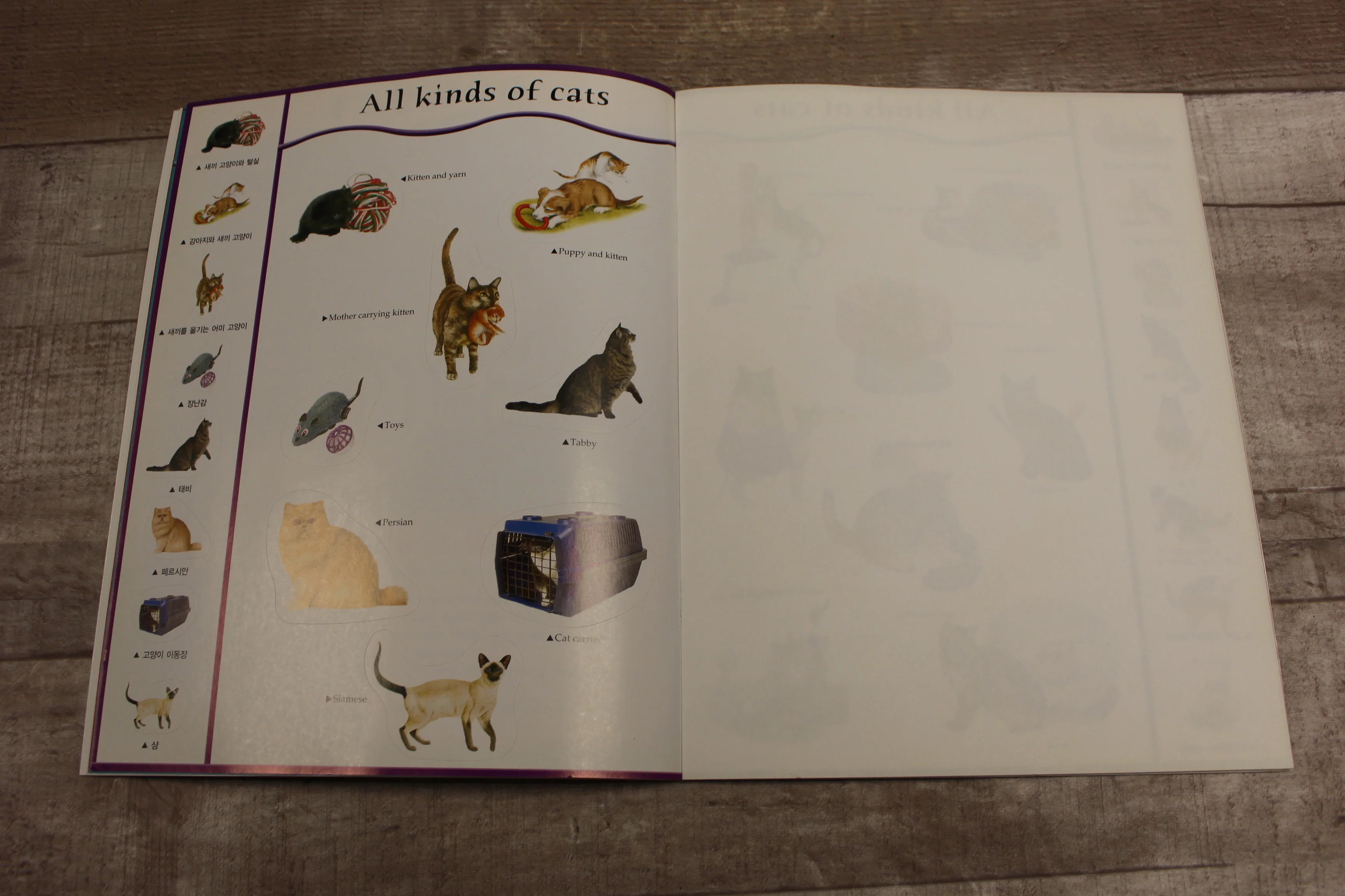 Little Large Softback Cats Book With Korean Translation -Used - Image 3