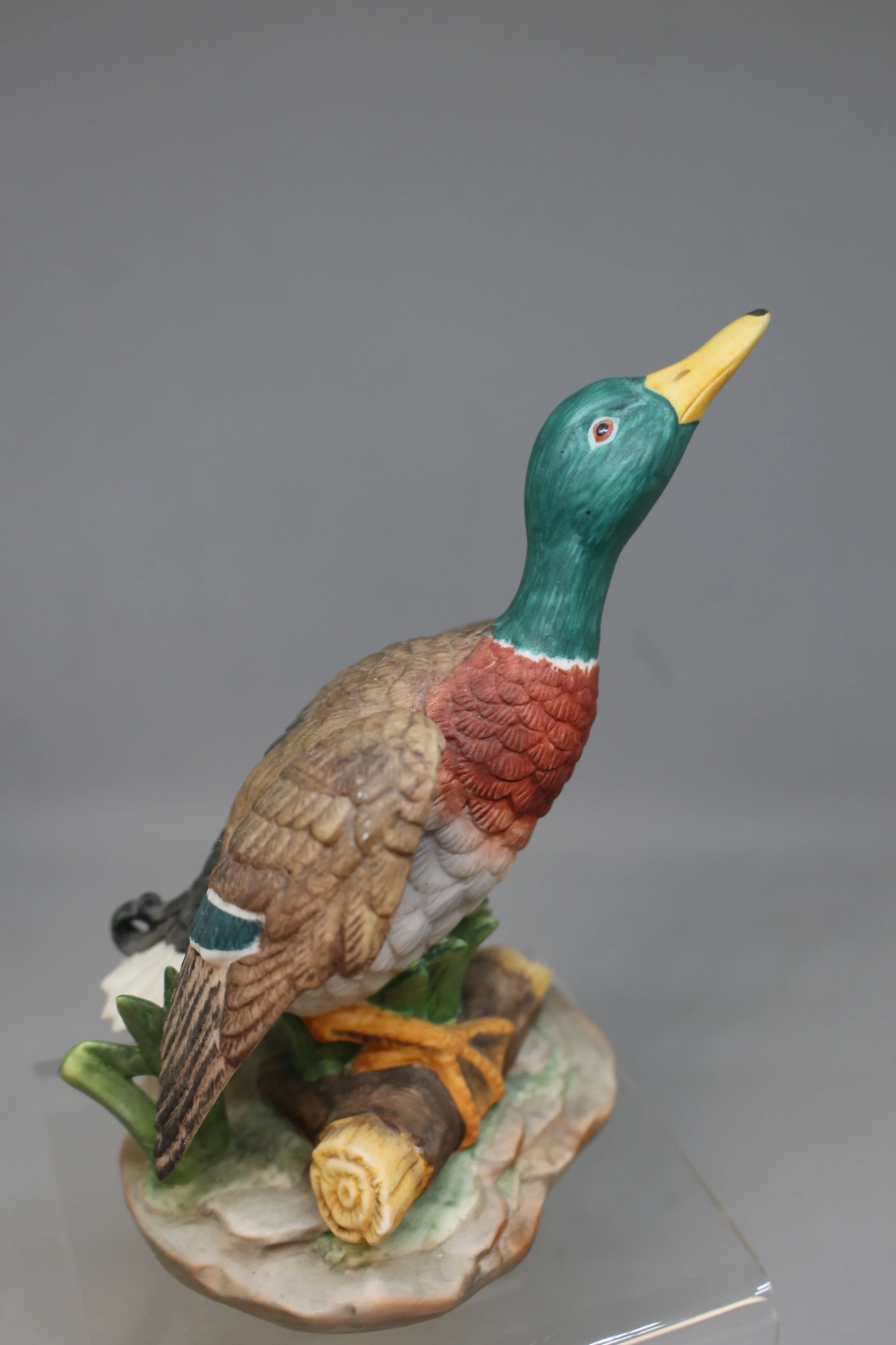 Mallard "Anas platyrhynchos" Figurine ByJohn James Audubon - Used - Image 5