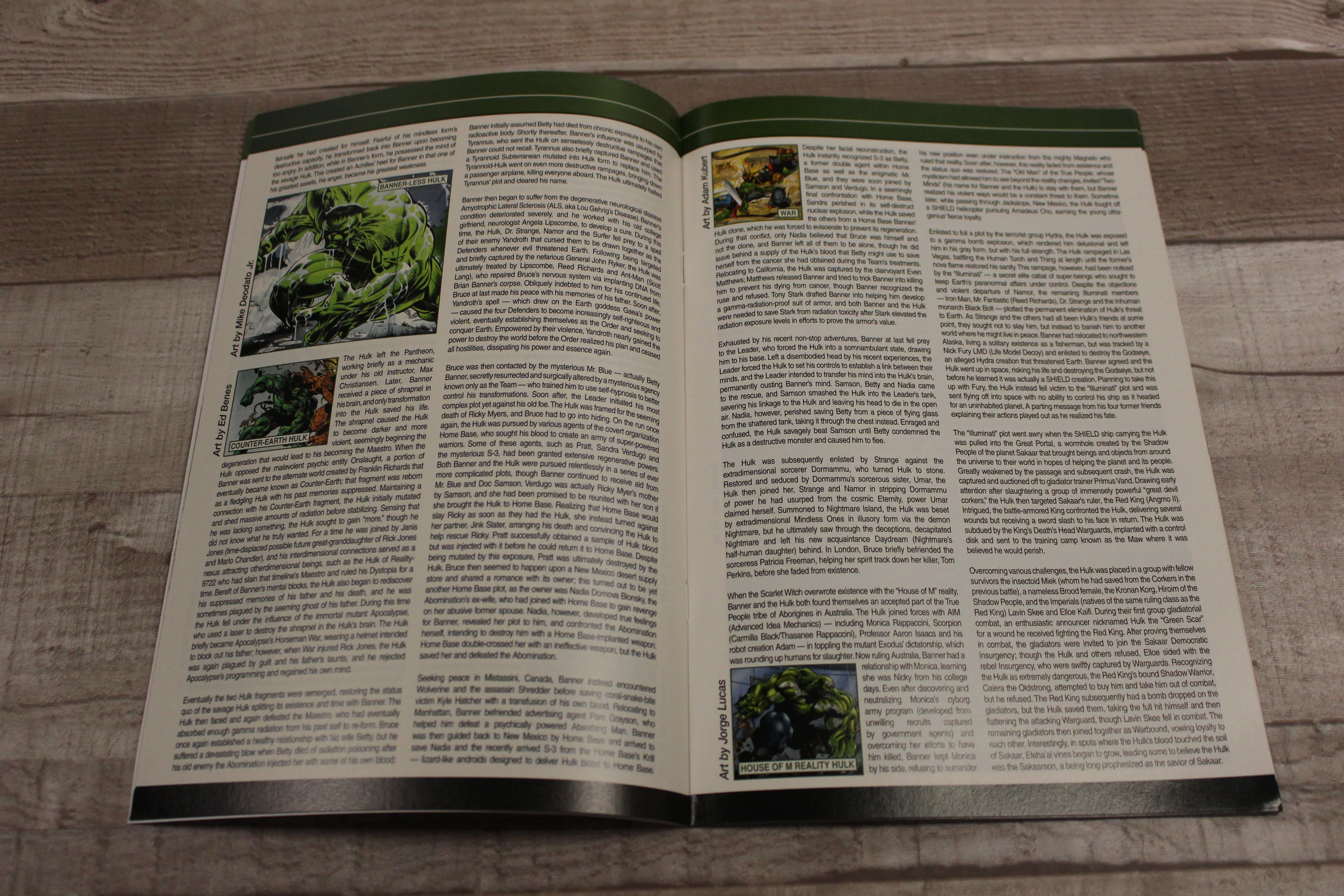 Marvel Comics World War Hulk Gamma Files - #1 - Image 4