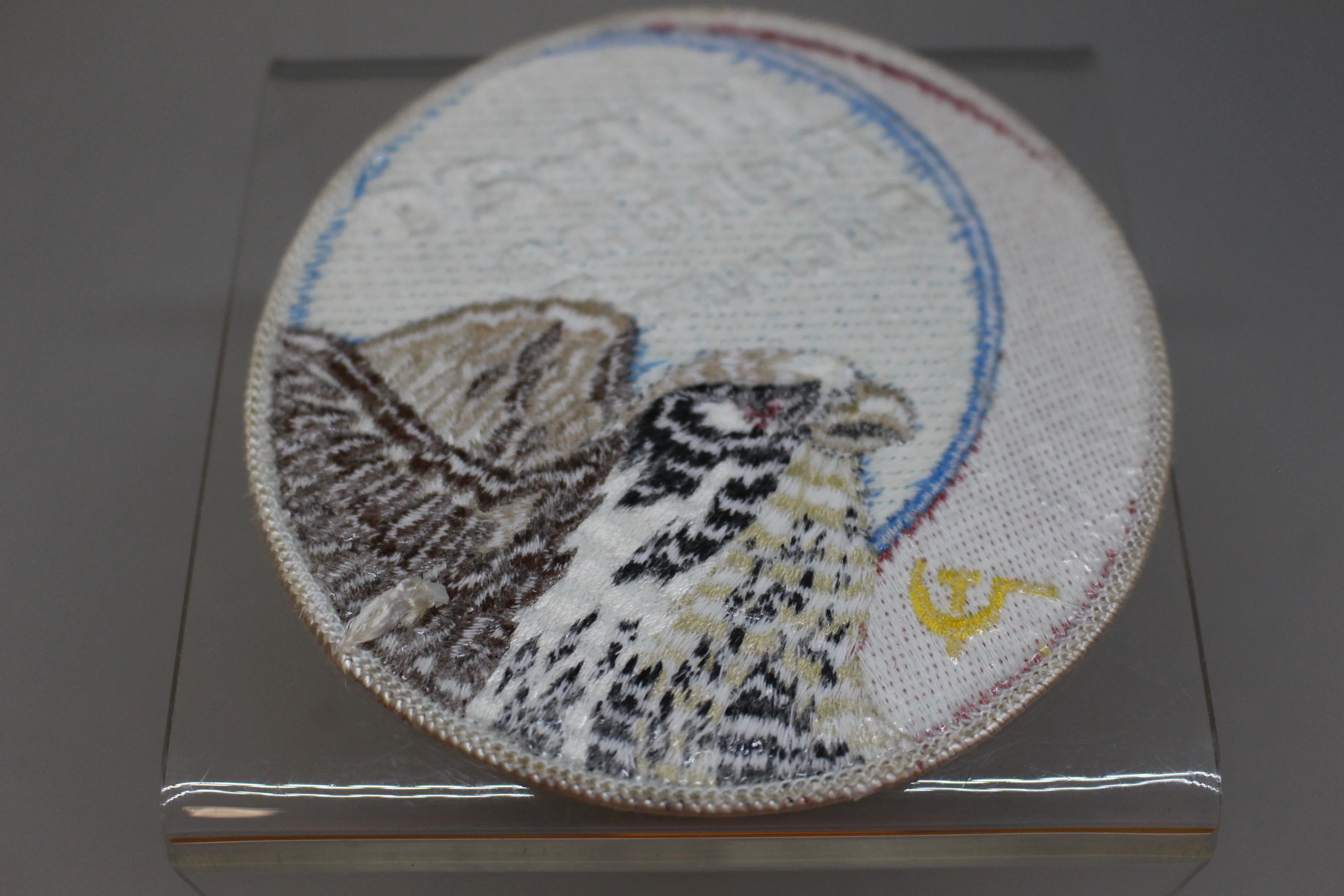 MIG-29 Fighting Fulcrum Patch - Sew On - Used - Image 2