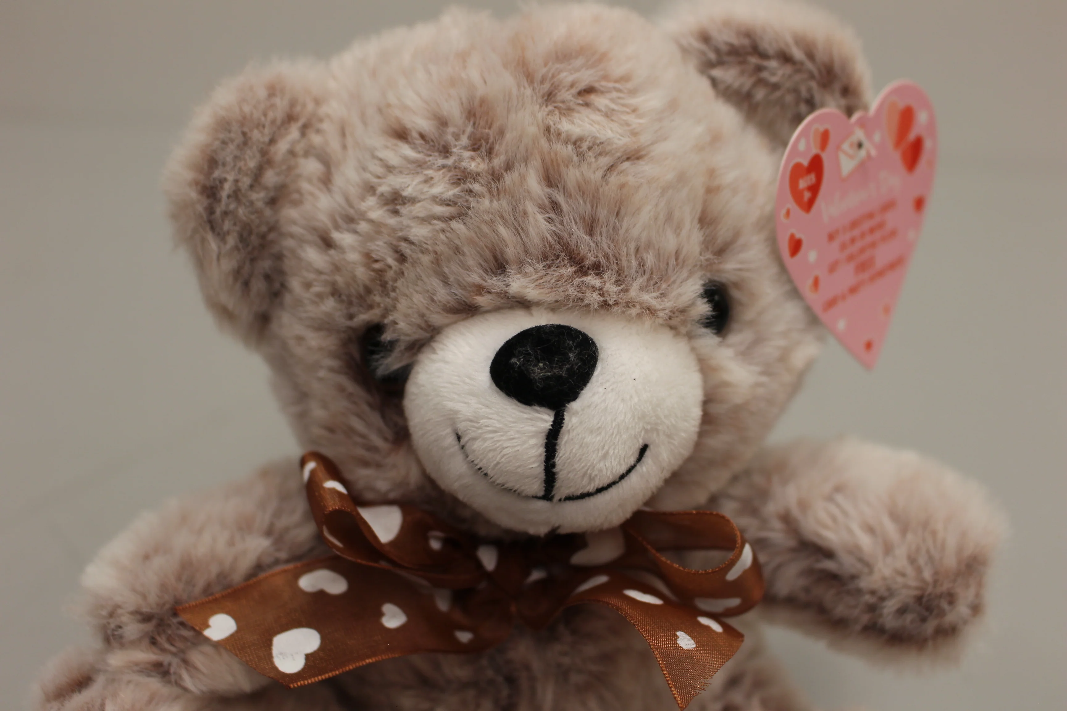 MTY International Valentine's Day Teddy Bear Stuffed Plush - New - Image 2