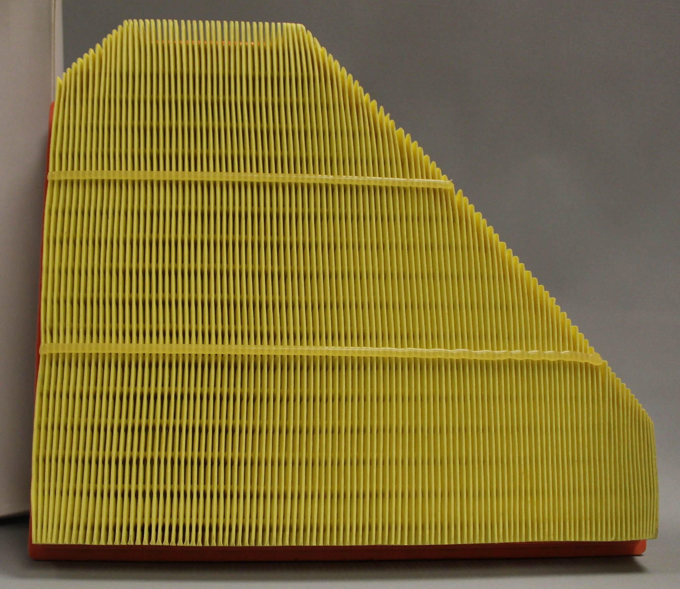 Prime Guard Air Filter - PAF3163 - A90051 - New - Image 2
