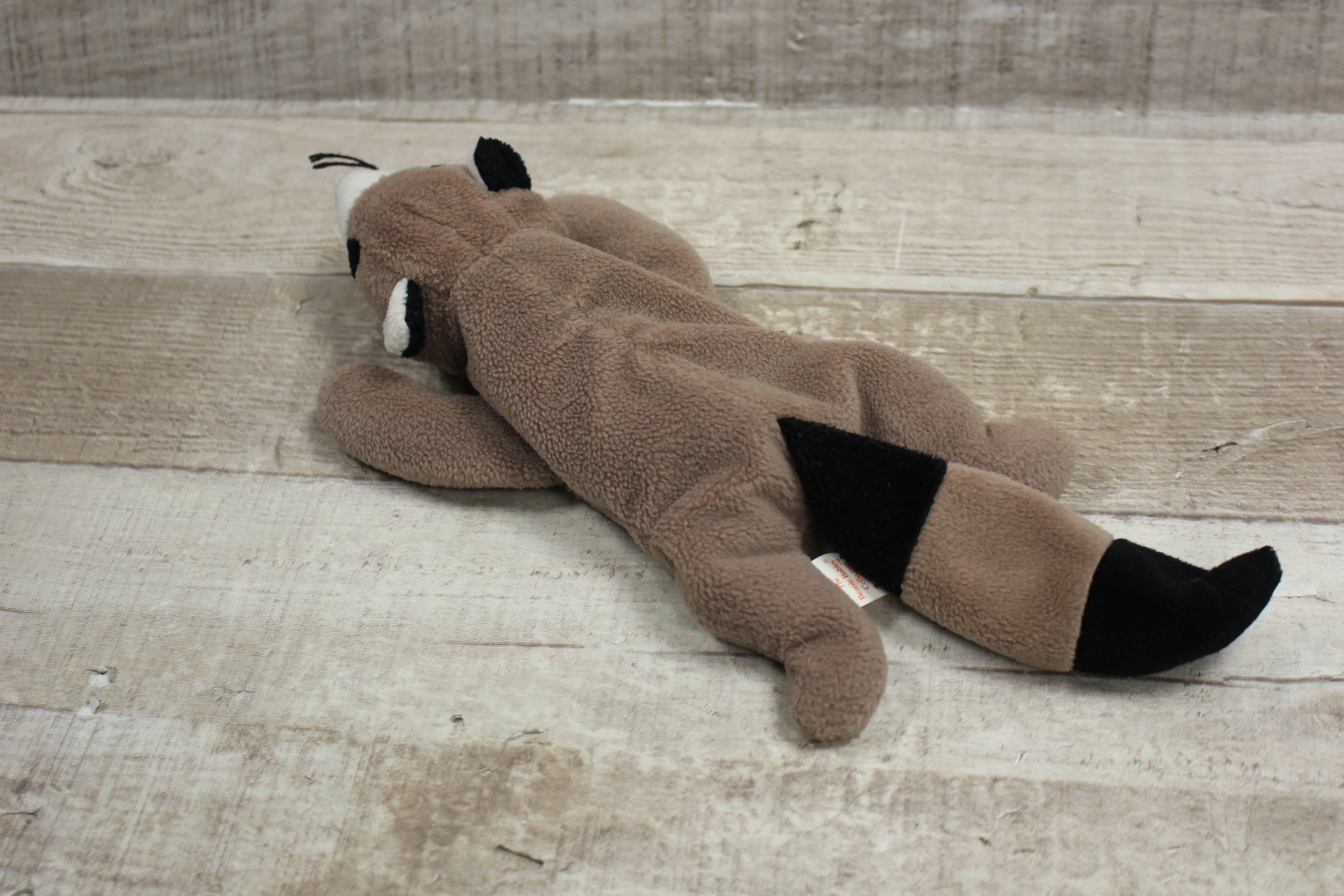 TY Beanuie Baby Ringo Raccoon -Used - Image 2