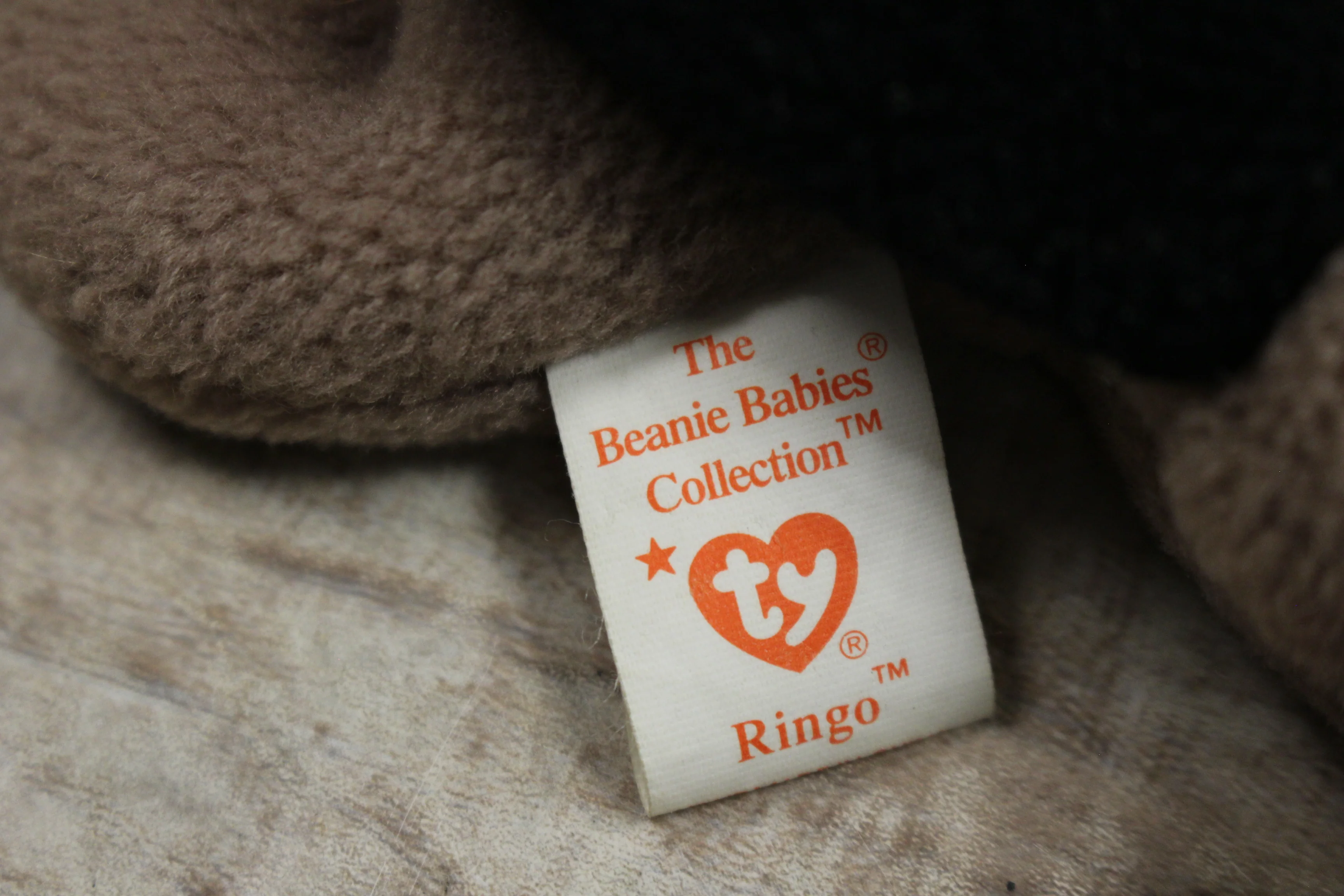 TY Beanuie Baby Ringo Raccoon -Used - Image 3