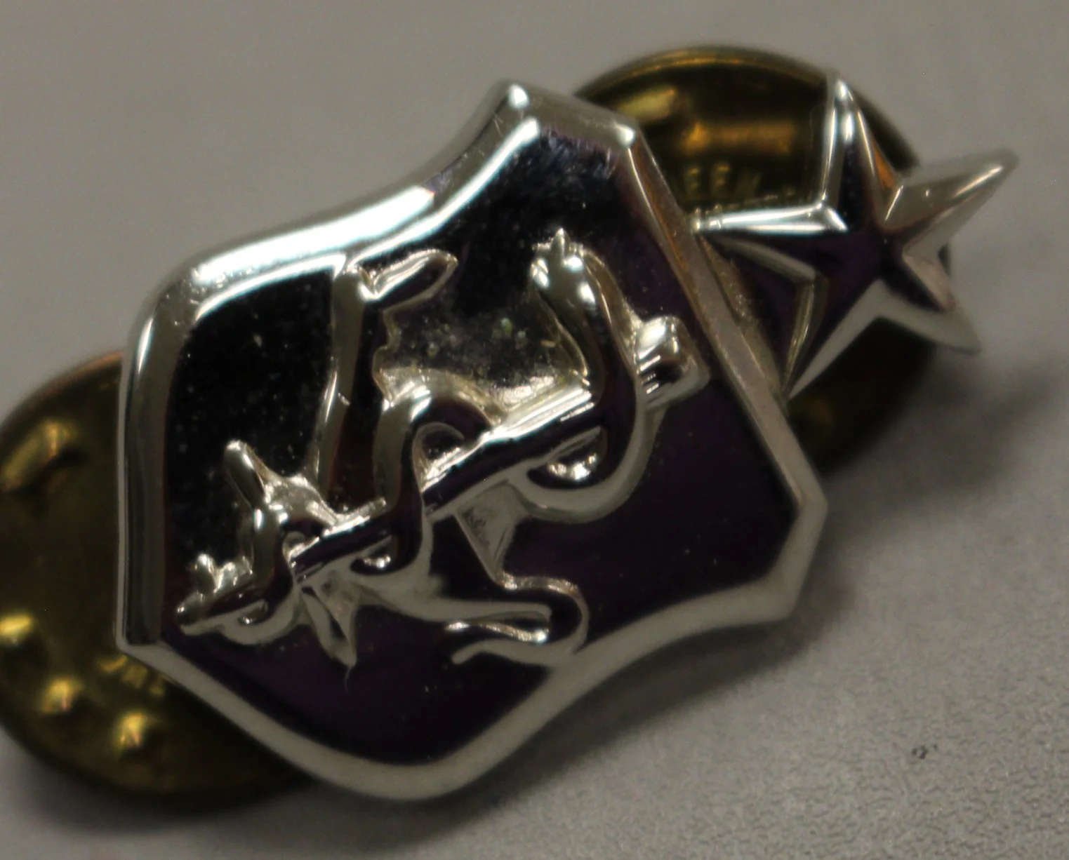 USAF Air Force Senior Nurse Lapel Pin - Used