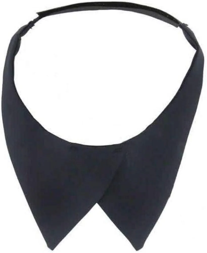 USN Navy Women's Shirt Neck Tab - Used