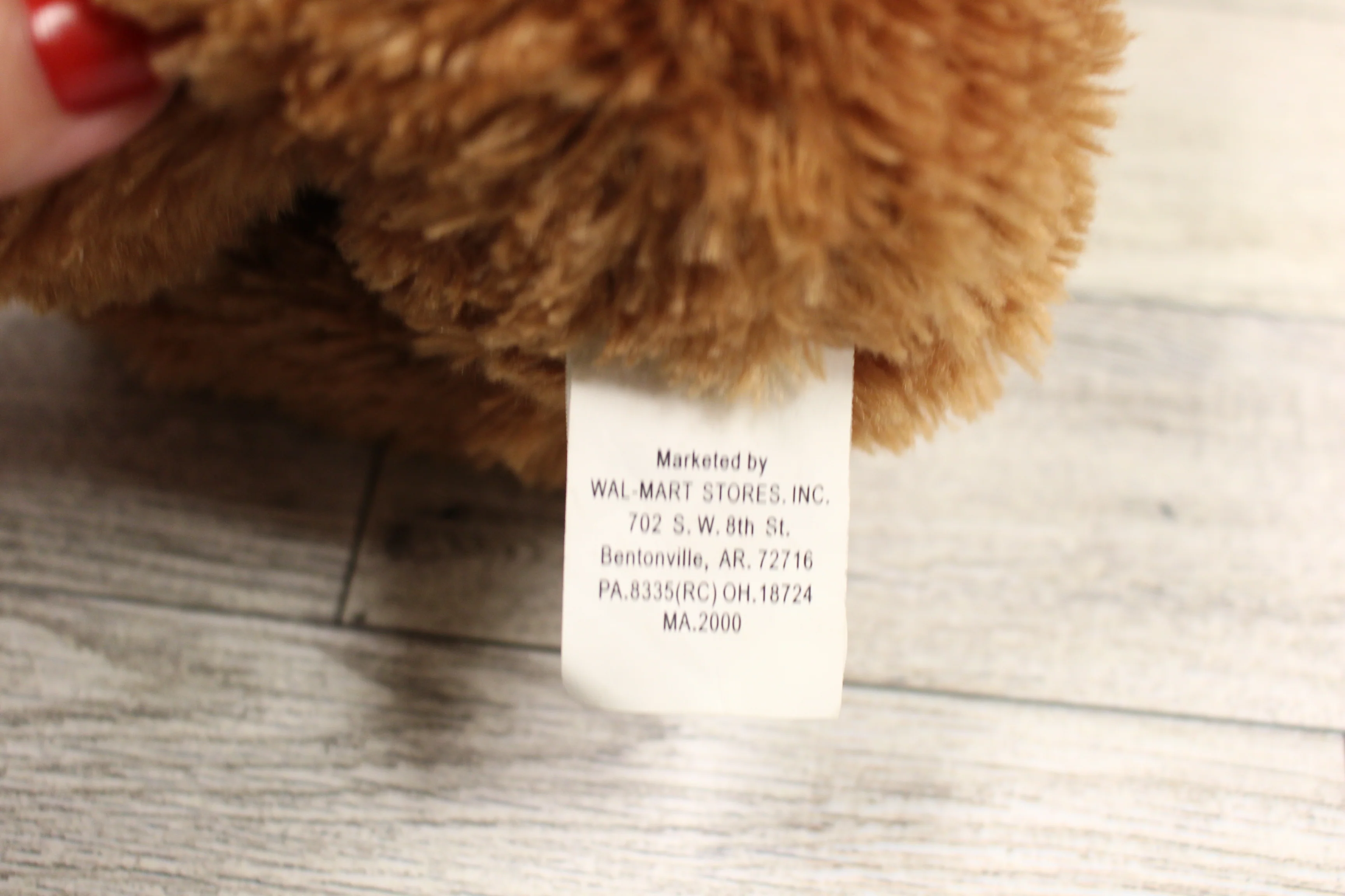 Valentine Plush Teddy Bear - Used - Image 2