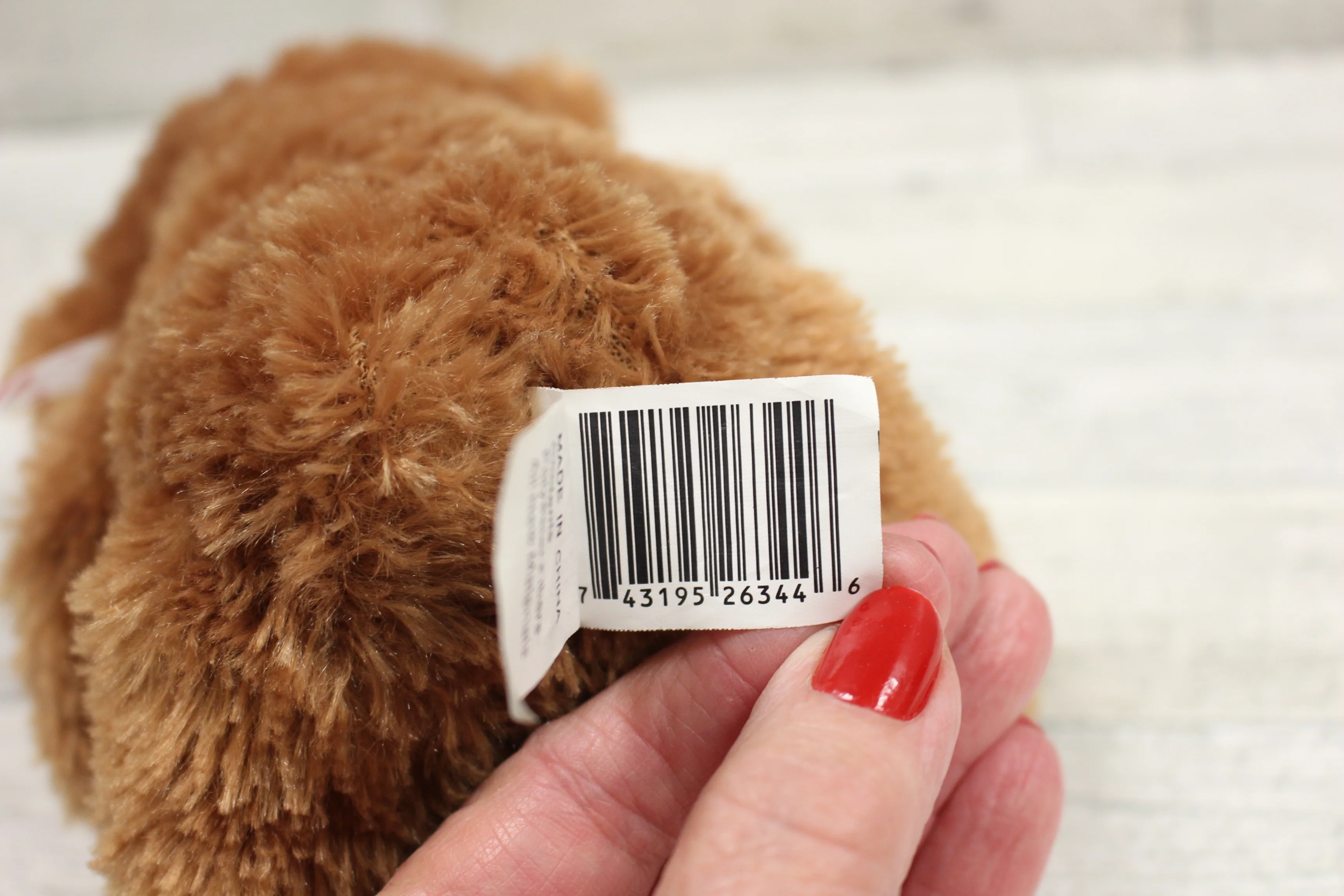 Valentine Plush Teddy Bear - Used - Image 4