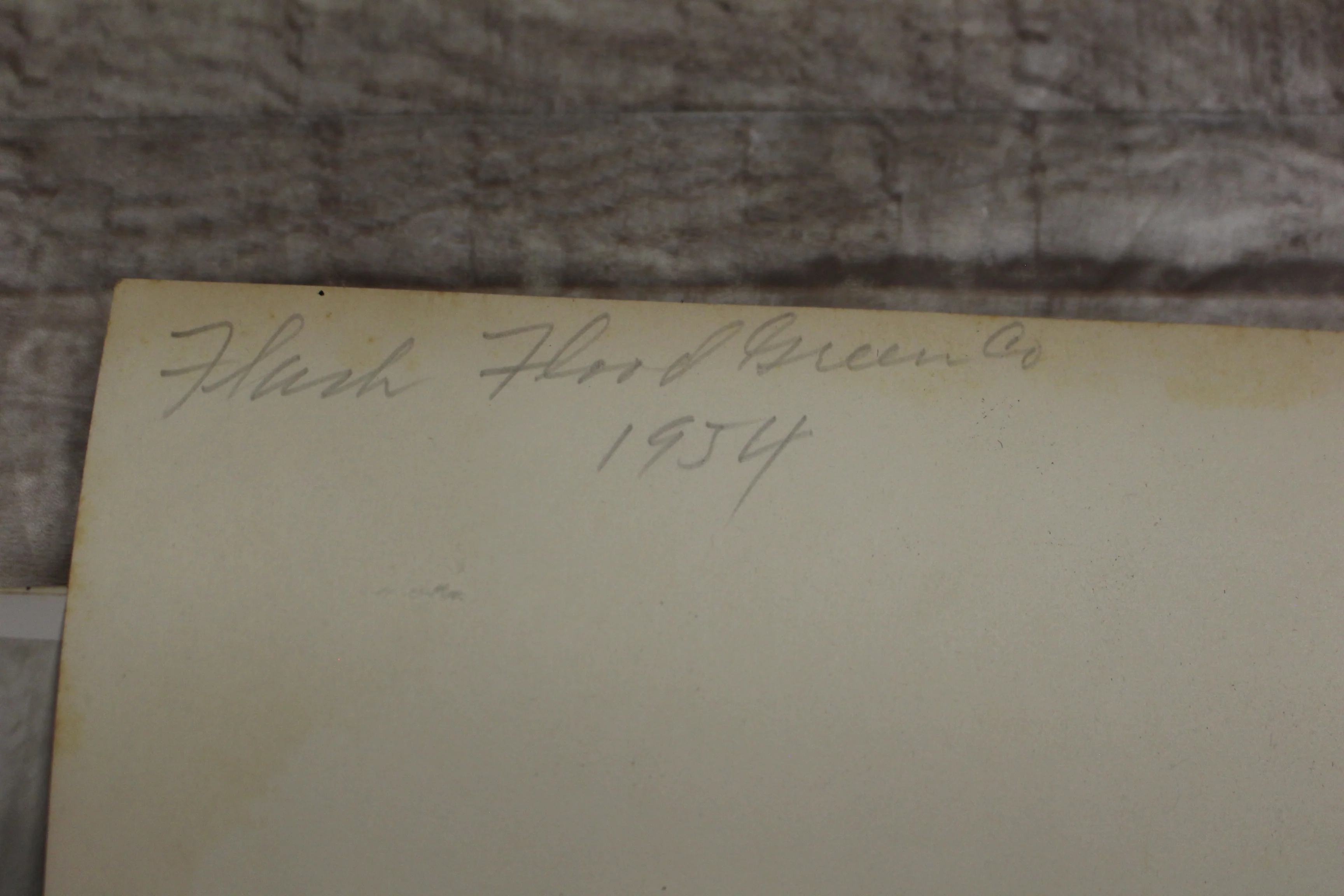 Vintage Authentic and Original Flood Damage Photo -Used - Image 3