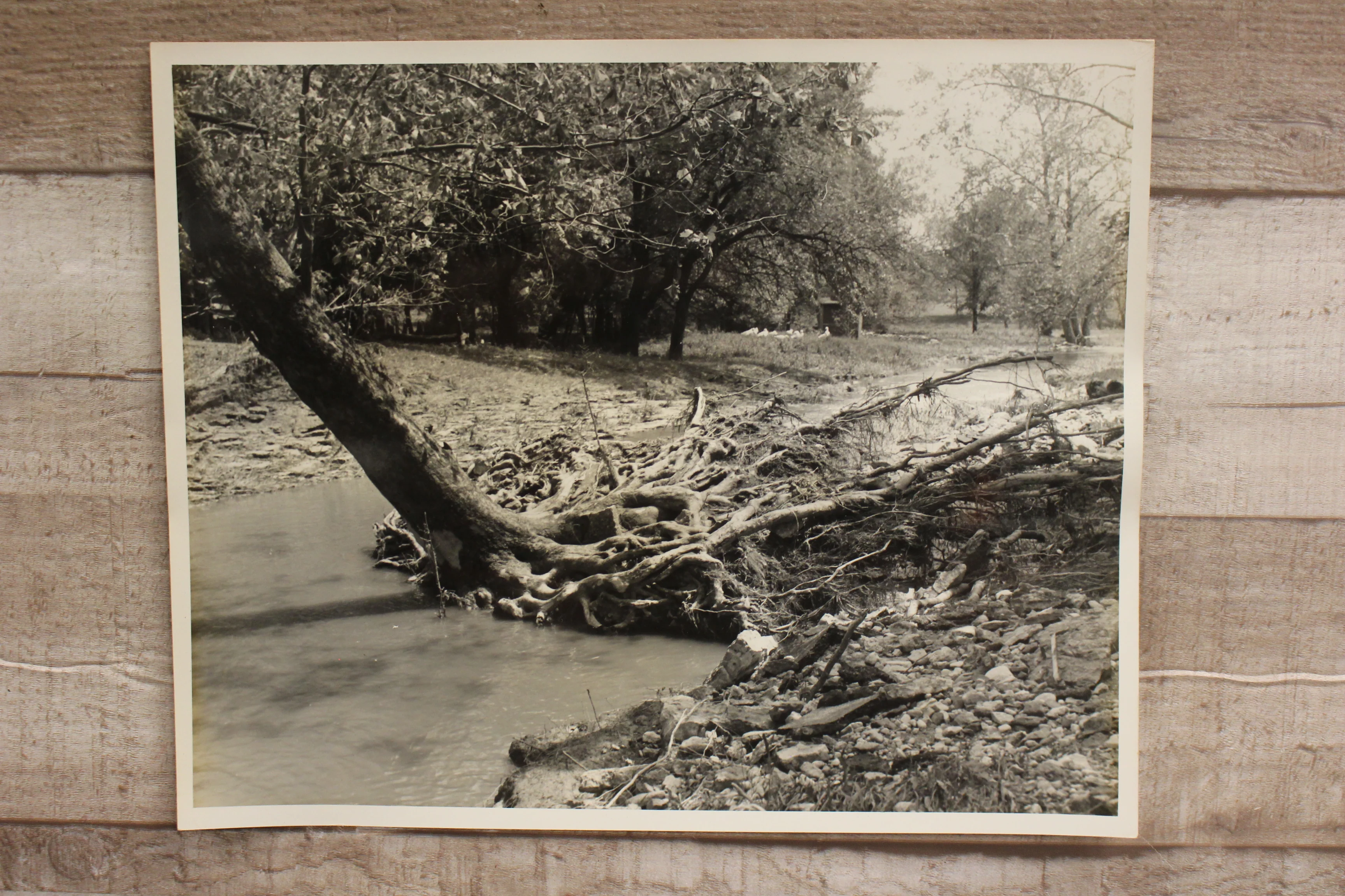 Vintage Authentic and Original Flood Damage River Photo -Used