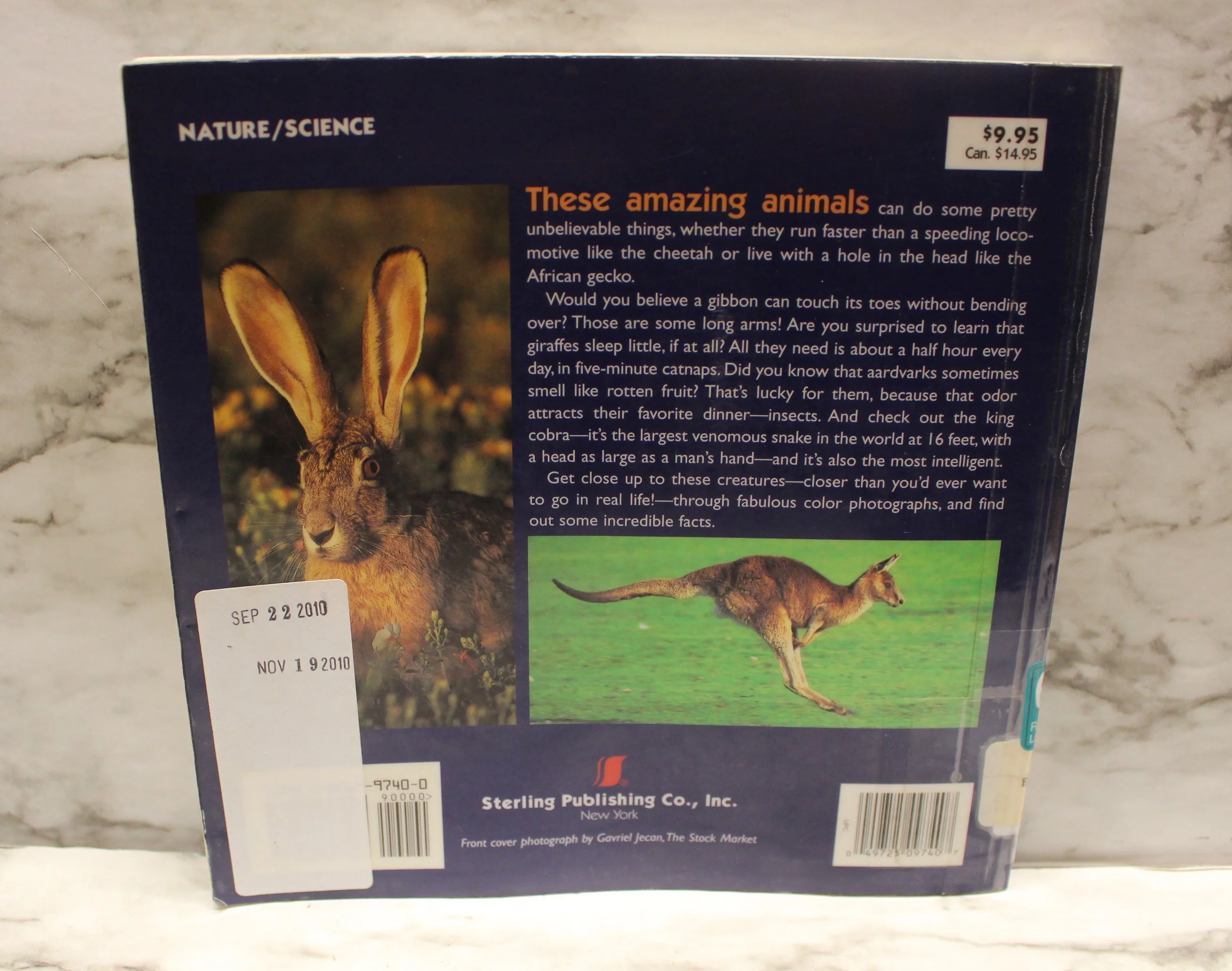World's Wildest Animals - By Leslee Elliott - Used - Image 2